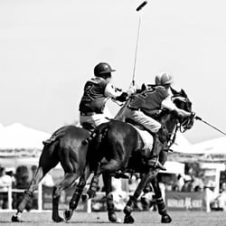 POLO_007