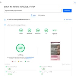 PageSpeed Insights