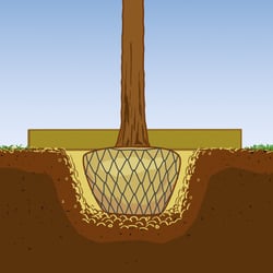 Illustration für Garten- und Landschaftsbau-Unternehmen