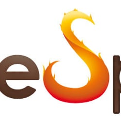 saneSpirit Logo brown