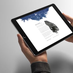 Responsive Webseite Bodymerge