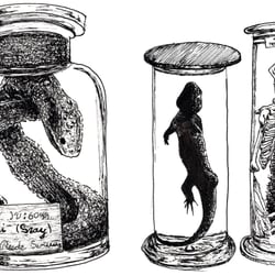 Museum Illustration