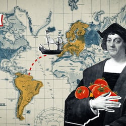 P.M. Wissen Tomate