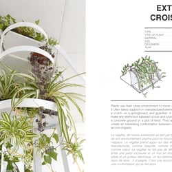 Justine Plateau PORTFOLIO-june Page 06