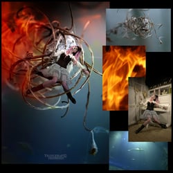 composing concept photography
