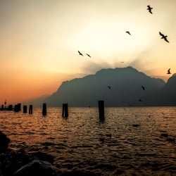 Italy