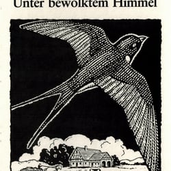 Unter bewoelktem Himmel
