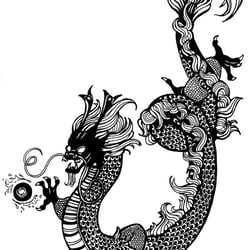 VerenaFaeth Dragon