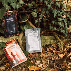 Buchcover – Spiegelherz Reihe von Ingo Litschka