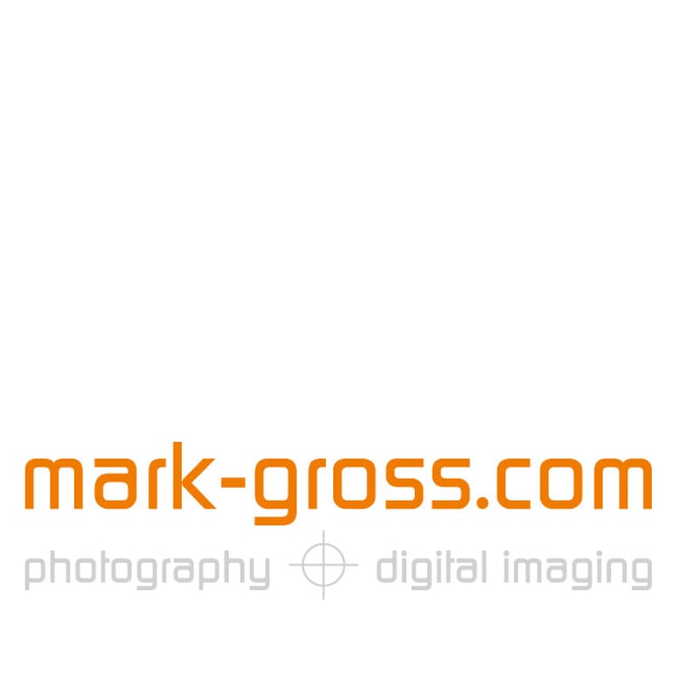 Mark Gross