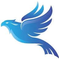 Denver SEO Service