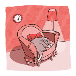 aus CAT SECRETS – besser leben à la Katz