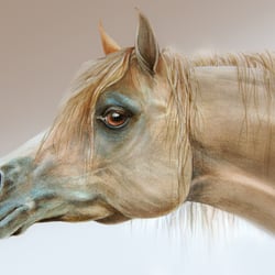 „EL NUR“ – Aquarell