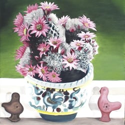 Kaktusblüten, Öl a. Lw., 60×50 cm, 2005