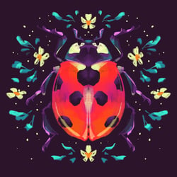 Ladybird