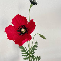 Mohn aus Krepppapier