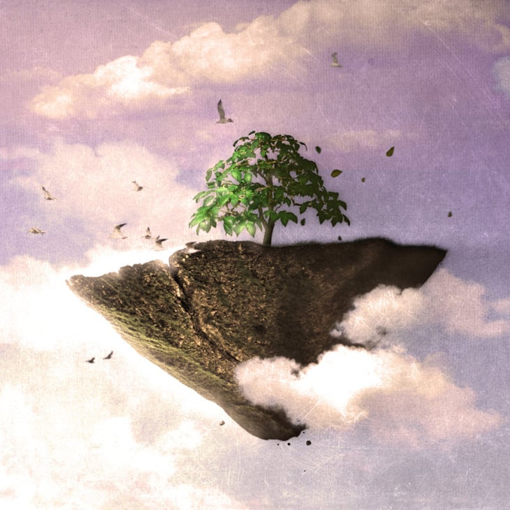 Tree Island