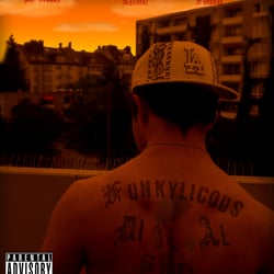 Funkylicous cover