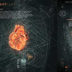 Medical Interface