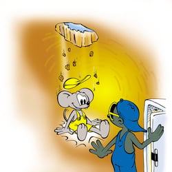 Willi & friends 4