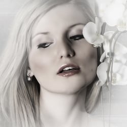 Created & Copyrights by Stephanie Meier