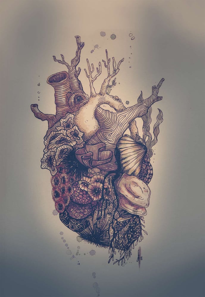 Coral heart