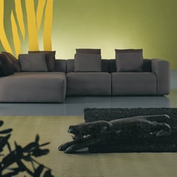 oak+palm