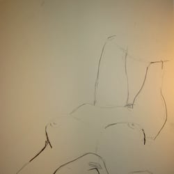 akt 2008
