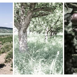 Reportage 4