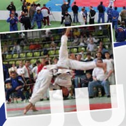 Flyer ITG VfL Sindelfingen, Judoabteilung