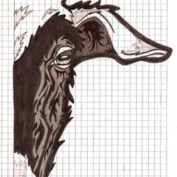 Everything usually starts as a sketch.