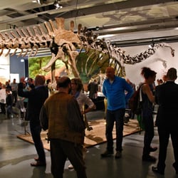 Ausstellungsdesign4-apriori-design
