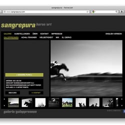 Website, Folgeseite