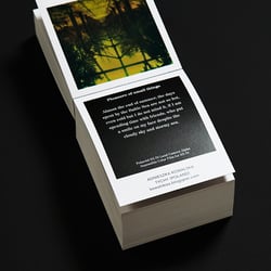 Poladarium2016 25