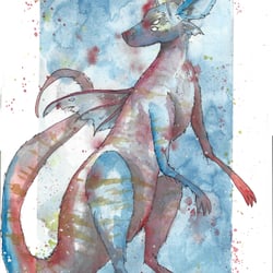 Kangaroo