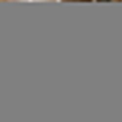 Webdesign Trechteria