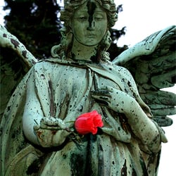 Engel