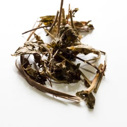 Traditional Medicine