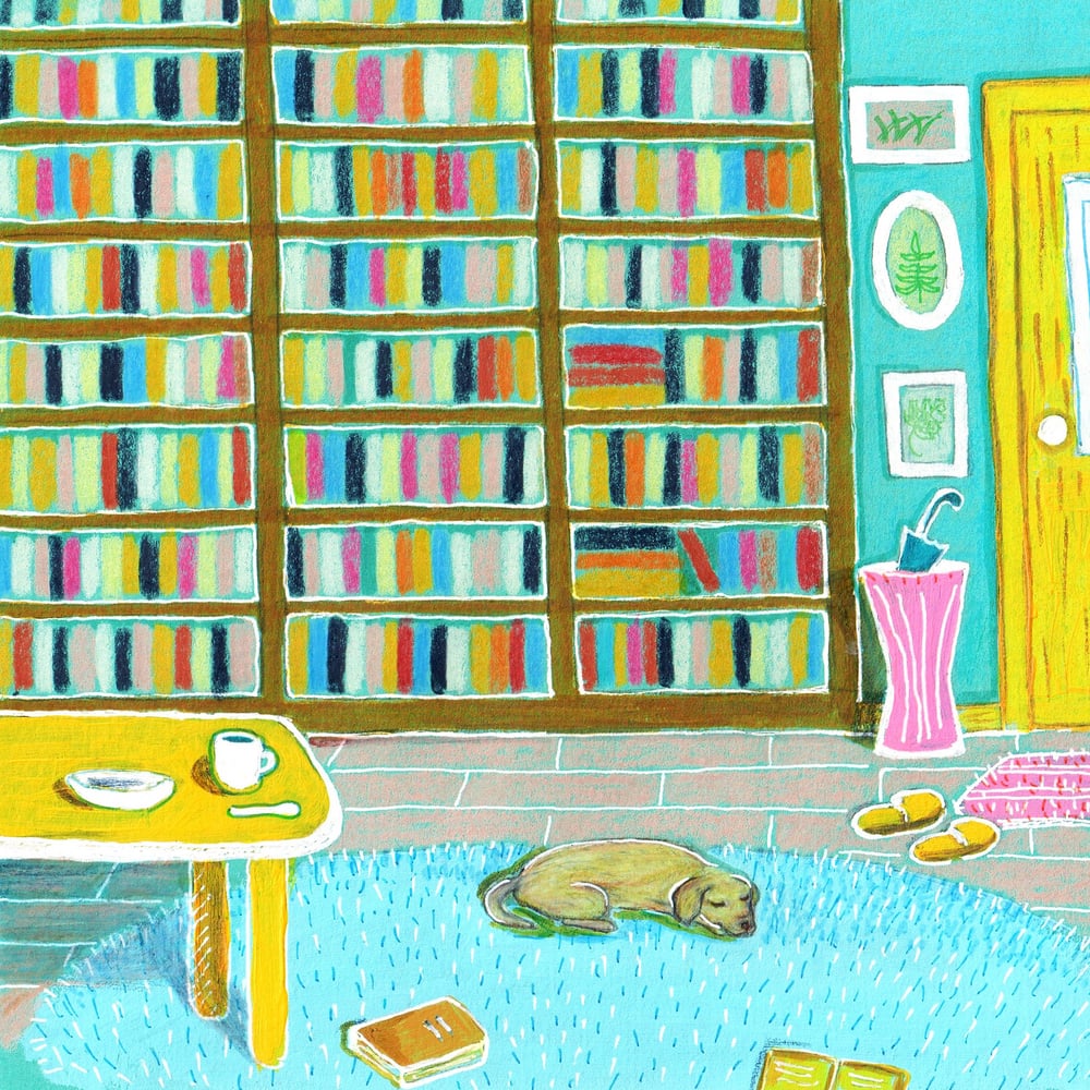Bookshelf