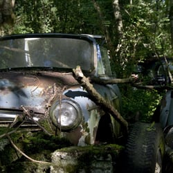 autofriedhof14