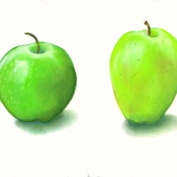 Apfelsorten-grüne, Pastell, 2012