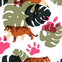 Safari 3