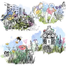 Gewobag Wohnungsbau-Aktiengesellschaft Berlin Pool an Illustrationen für Aktion Städtisch Grün. Mehr Natur in der Nachbarschaft