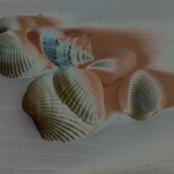 Deco/Style 2012