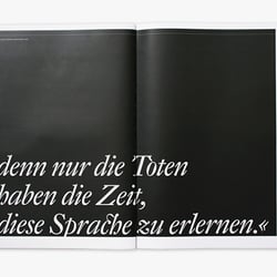 theudo 35