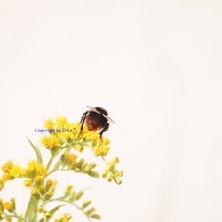 Nature 2014 Foto Übung