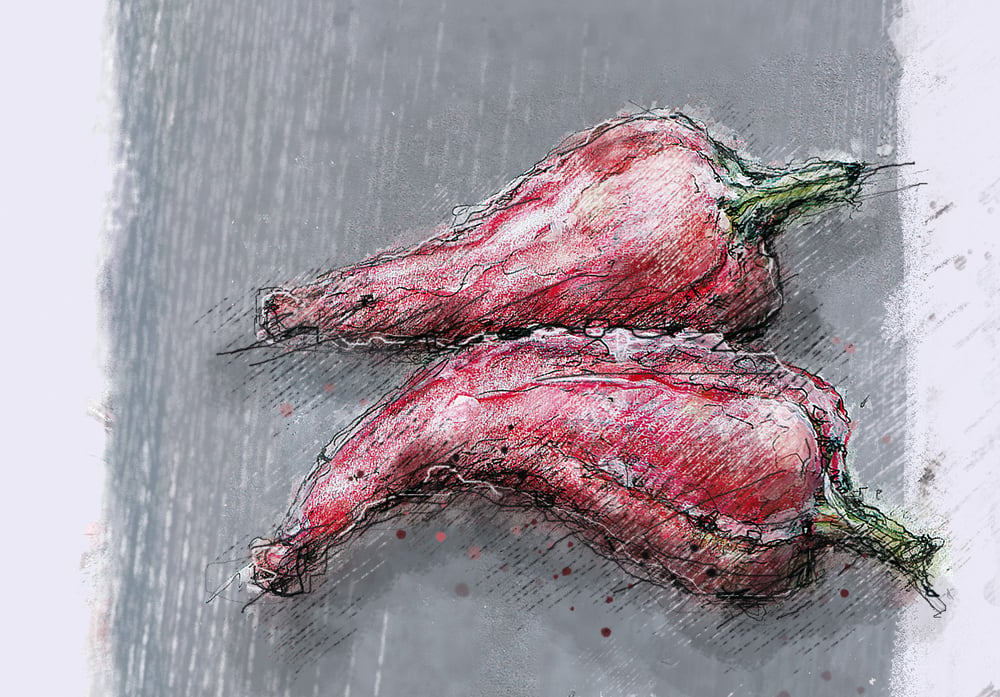 Illustrationen zu den individuellen Gerichten