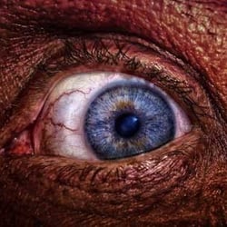Auge