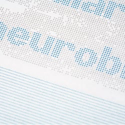 Nexus Neuronia – Modulare Publikation zur Neurowissenschaft – Typografie