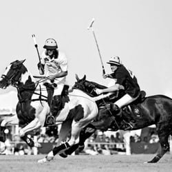 POLO_003